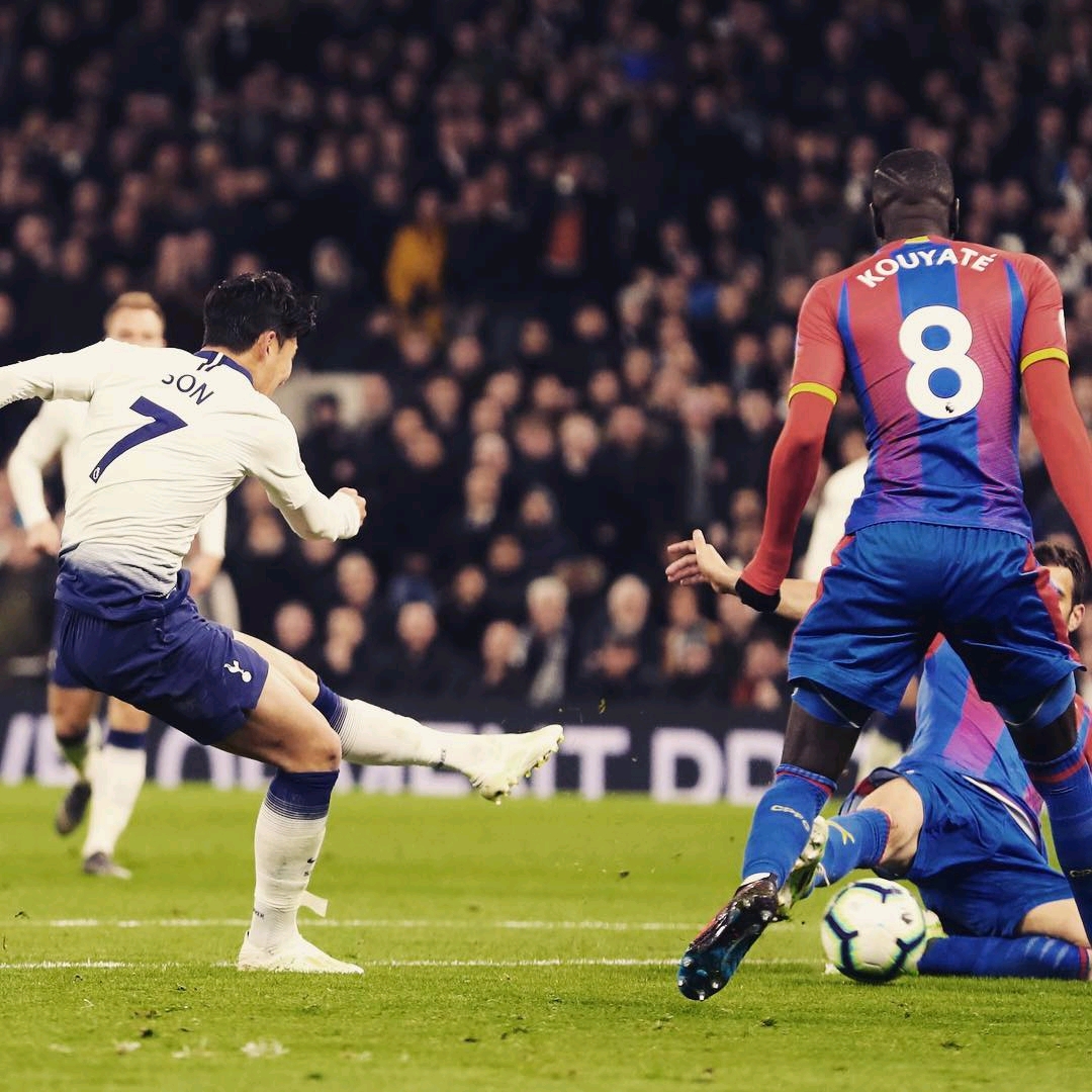 范尼的替代 范尼的替代