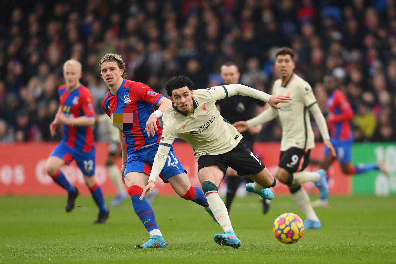 掌控命运 掌控命运